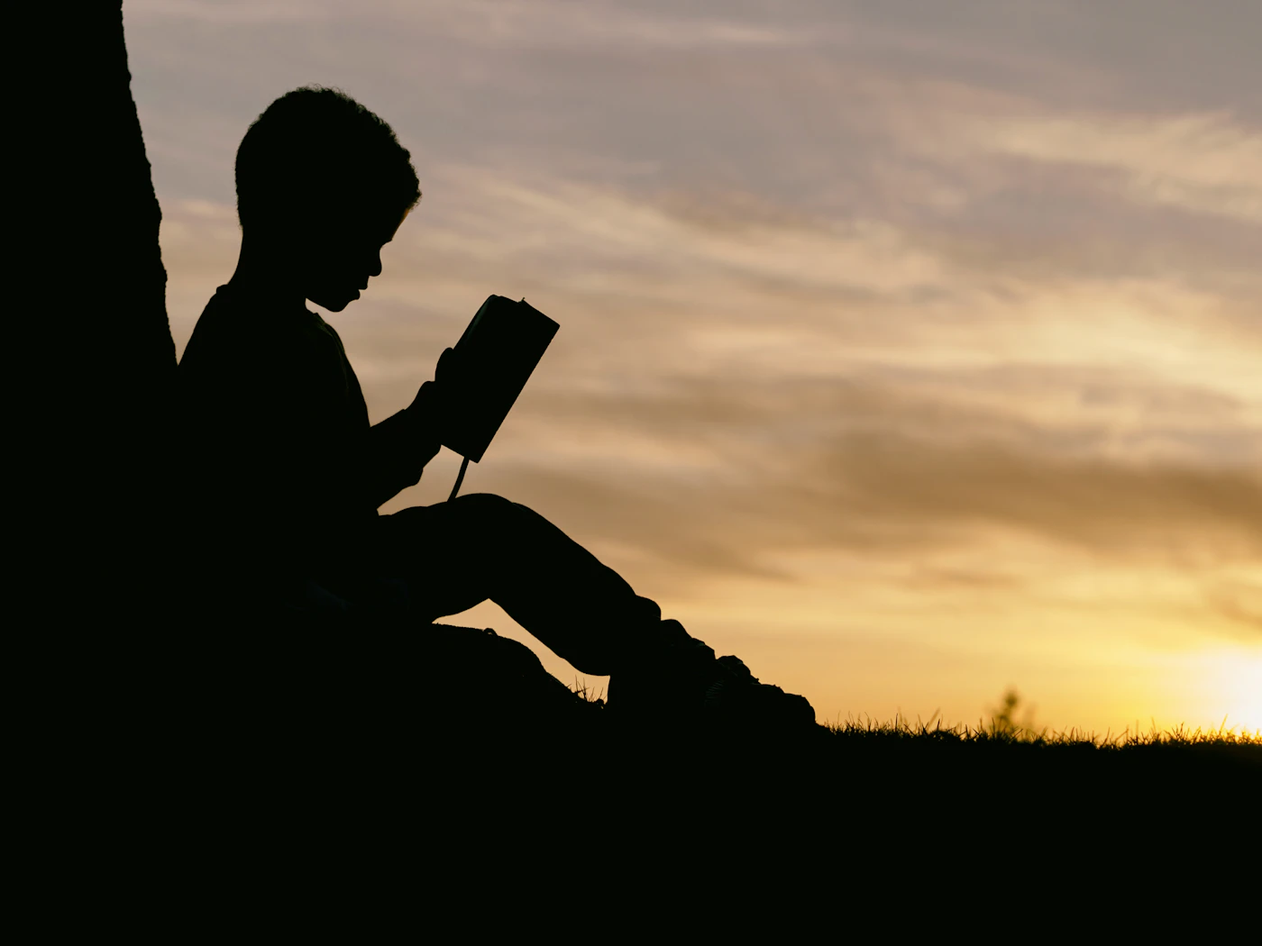 Books & Publications
